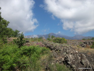 anobello-26-05-2013 09-27-22